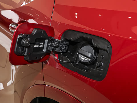 2025�� 300 ����������