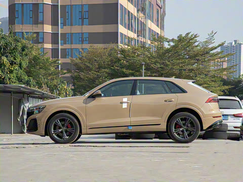 2024�� 55 TFSI ����������