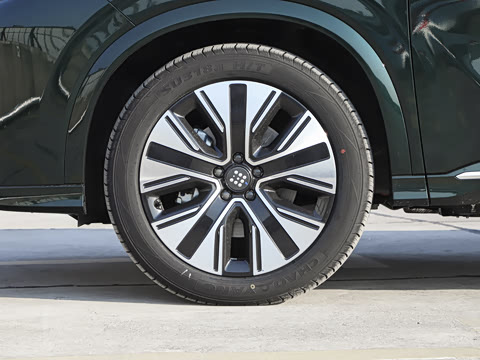 2025�� 165km ���������ж��ư� 5��