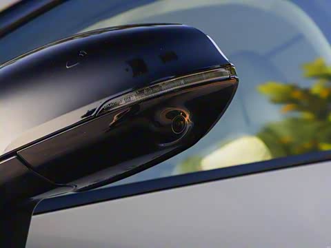 2025�� 650������