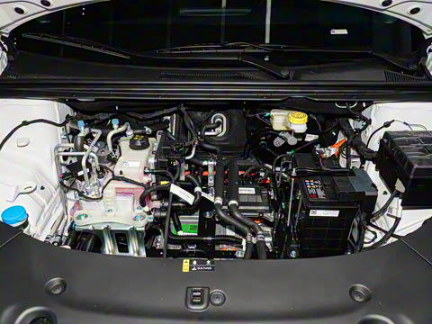 2026�� ������