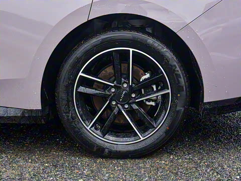 2025�� 650 ������