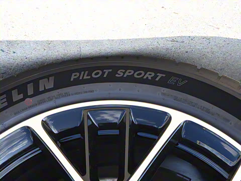 2025�� �������� Max �콢��