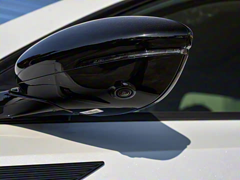 2024�� ����