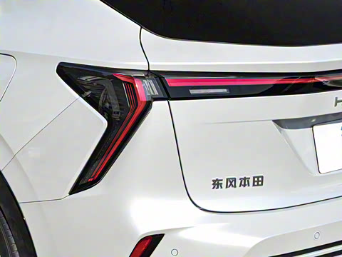 2024�� ����