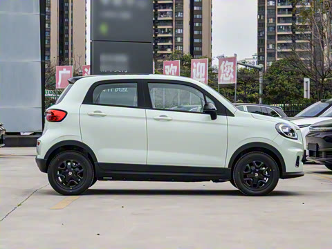 2025�� 310������