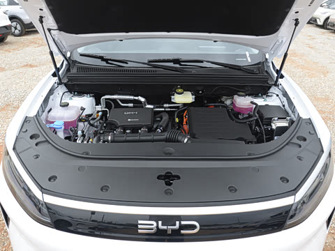 2025�� DM-i �Ǽݰ� 75KM�����