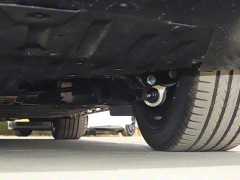 2025�� ���� 565����Max�캽��