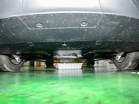 2025�� ����������