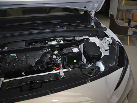 2025�� 425plus ������