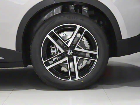 2025�� 425plus ������