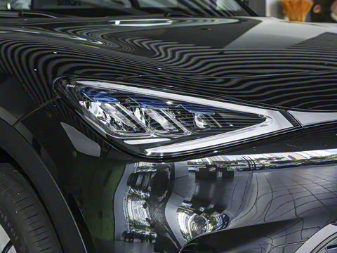 2026�� �鶯������