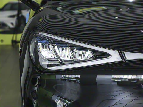 2026�� �鶯������