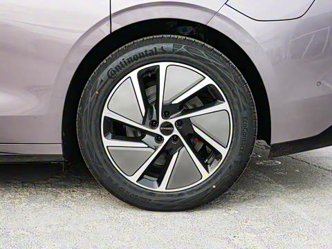 2025�� ���� Pro ���ٸ�����ʻ