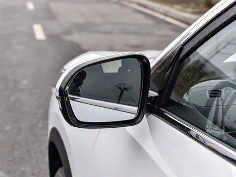 2025�� 290TGDI DCT������ 7��