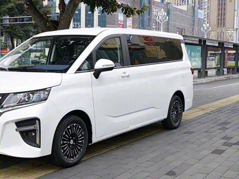 2025�� 2.0L �Զ���������� 9��