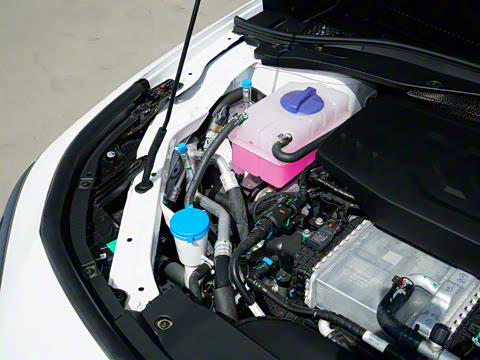 2025�� 145km ������