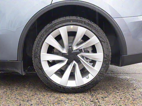 2025�� ����������