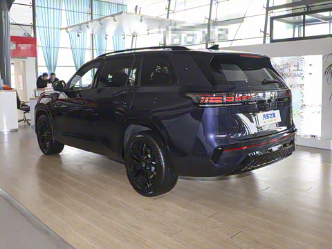 2025�� ;�� Pro 450TSI �����Ƿ��