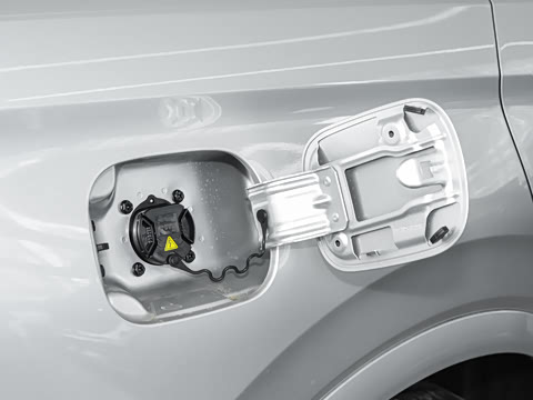 2025�� 165km �������� 5��