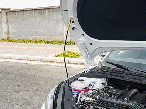 2025�� DM-i �Ǽݰ� 120KM������