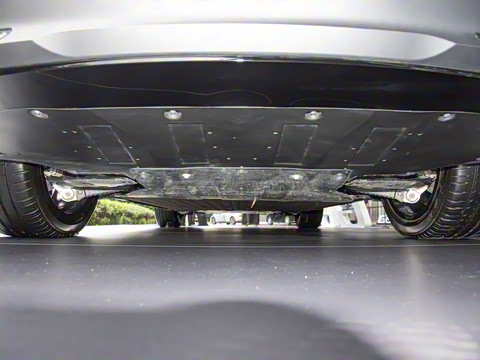 2025�� 725 �������� Max �콢��