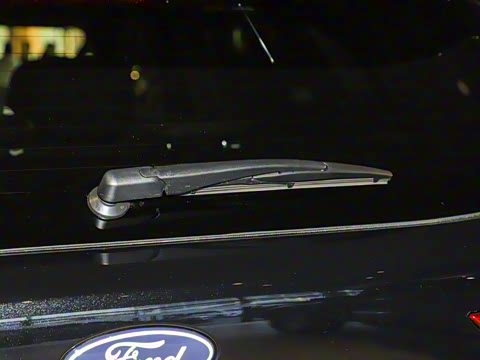 2025�� ������