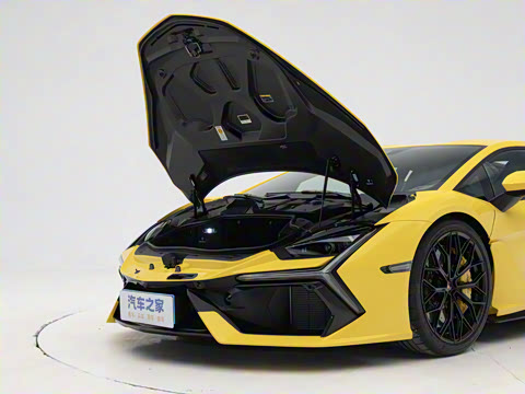 2025�� ������