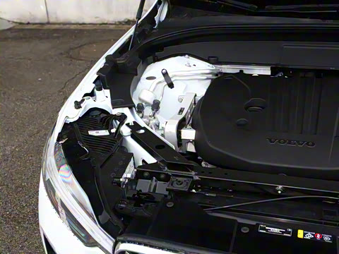 2026�� B5 ������Զ������