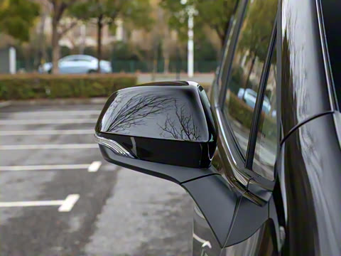 2025�� �캽��