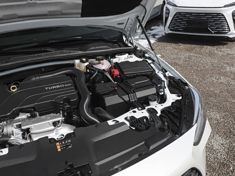 2024�� �Ŀ� 25T ������