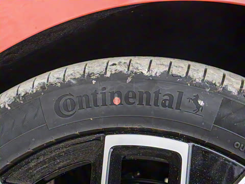 2025�� Max�����