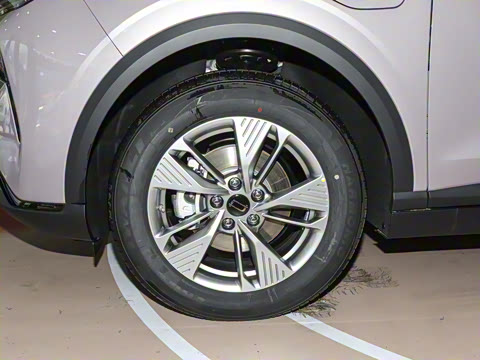 2025�� 565km ������