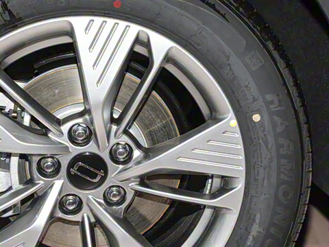 2025�� 565km ������