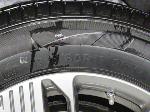 2025�� 565km ������