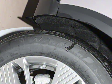 2025�� 565km ������