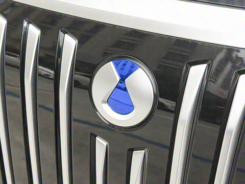 2025�� EV ��������