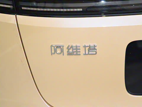 2025�� Max �����