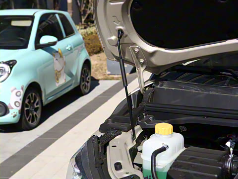 2025�� 1.6L ���������� 7��