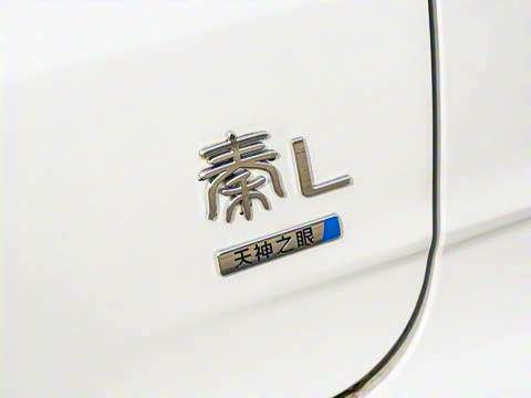 2025�� DM-i �Ǽݰ� 80KM������