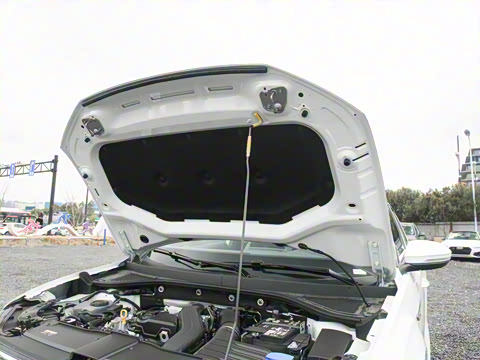 2025�� 300TSI DSG���������