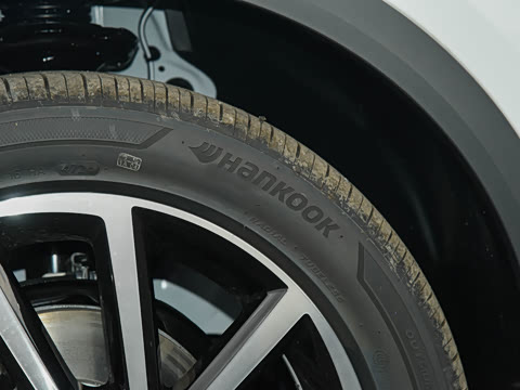 2025�� 300TSI DSG�����ǹ��