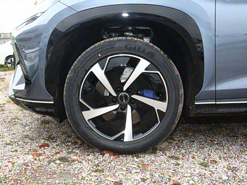 2025�� 610�Ǽݰ�