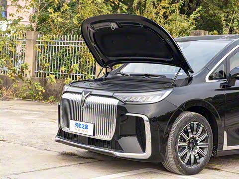 2025�� EV �������������