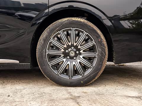 2025�� EV �������������