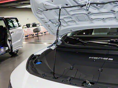 2025�� ����������Pro