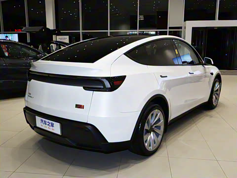 2025�� �������� �׷���