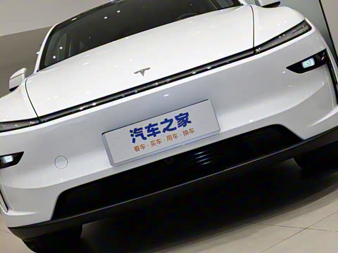 2025�� �������� �׷���