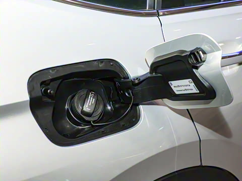 2024�� ���ڿ� 330TSI �Զ�����R-Line��ҫ��