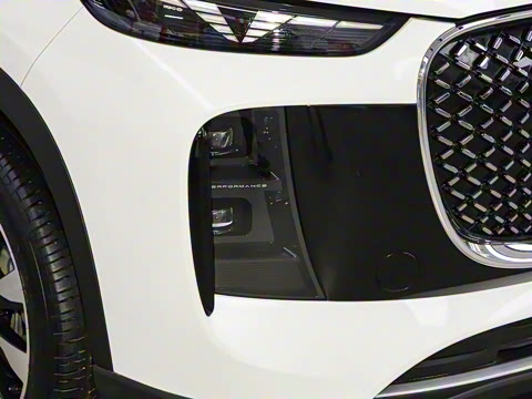 2025�� 290TGDI DCT������ 7��